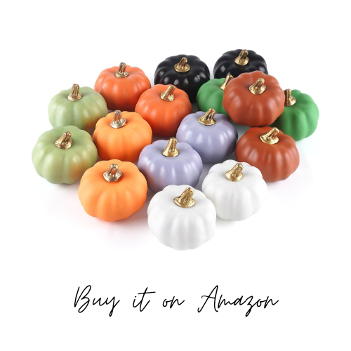 colorful mini pumpkins