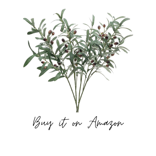 olive branch stems