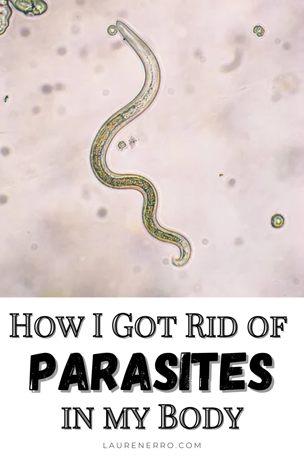 How I Got Rid of The Parasites In My Body